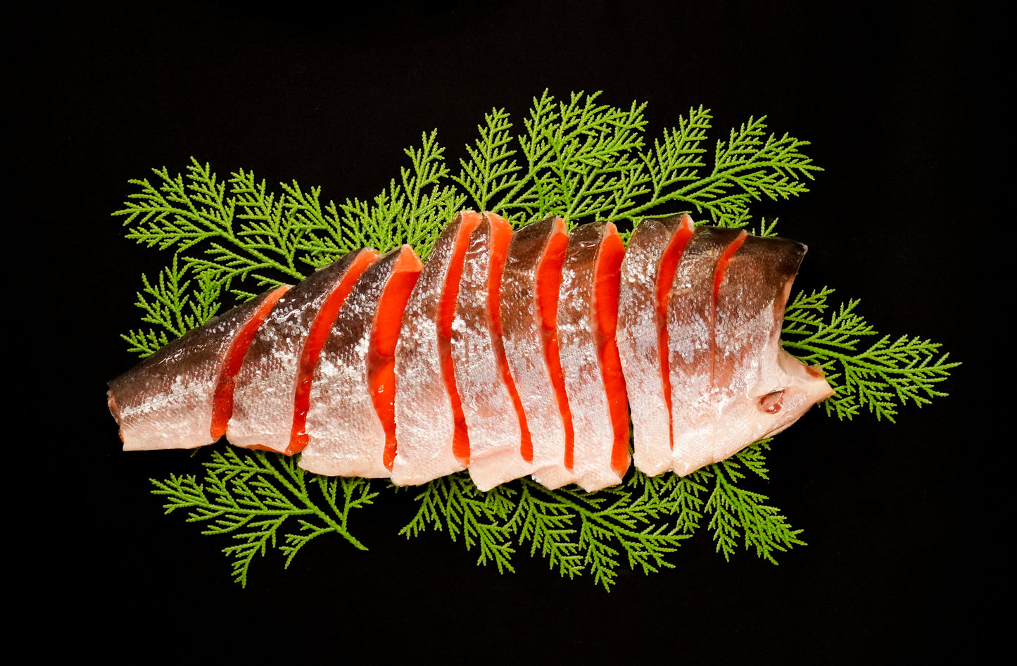 【M】 天然紅鮭 半身(切り身)約900g 3分割真空