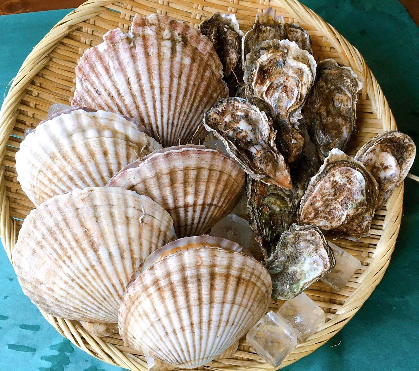 シハチ北海道産牡蠣&ホタテ貝バーベキューセット