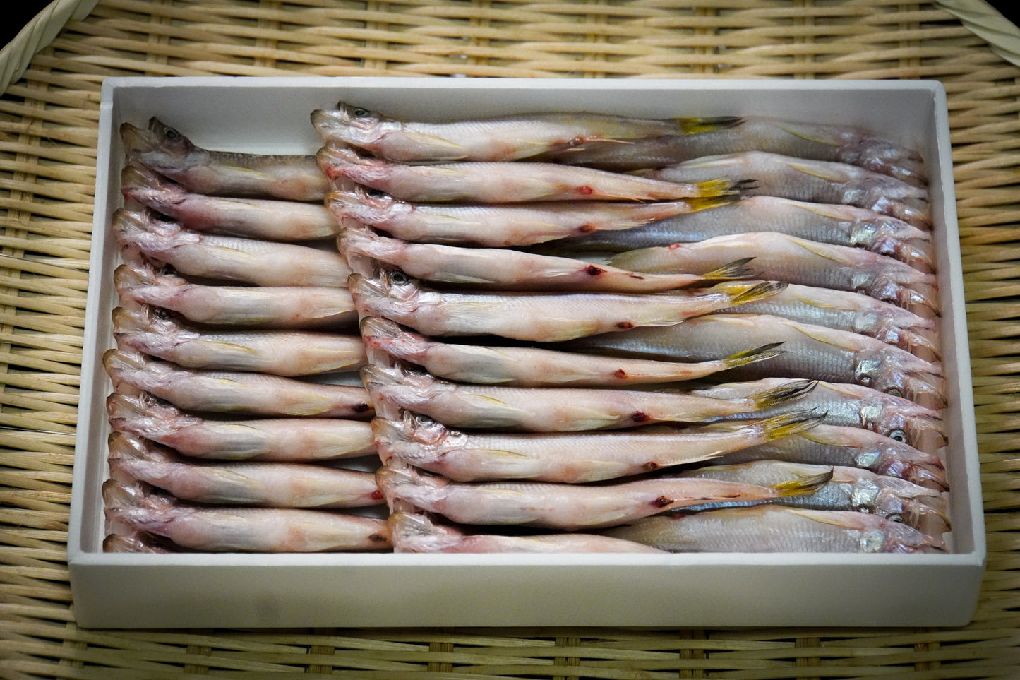 【M】北海道本ししゃも(30尾) オス・メス食べ比べセット