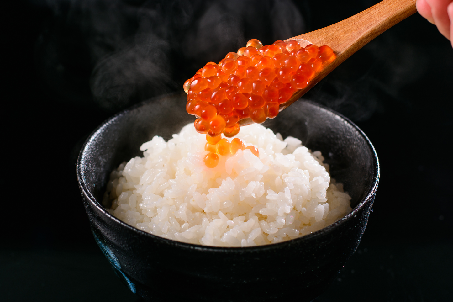 【P】北海道産いくら醤油漬(冷凍)たっぷり500g(丼で5~7杯分)